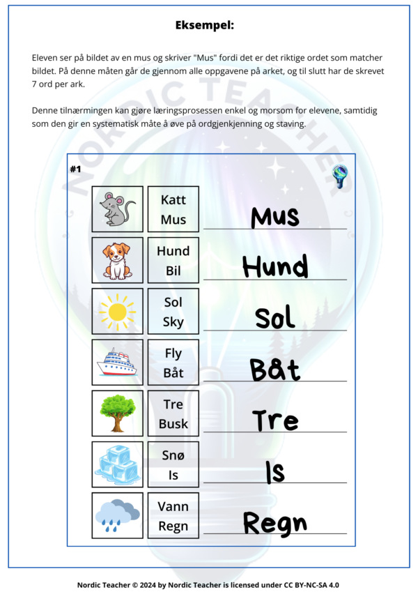 Write the correct word 1 / Skriv riktig ord 1 - Bilde 2